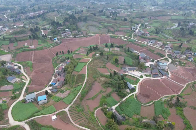 1277�Ǽʵ���(�й���)�ٷ���Ϸ��ַ