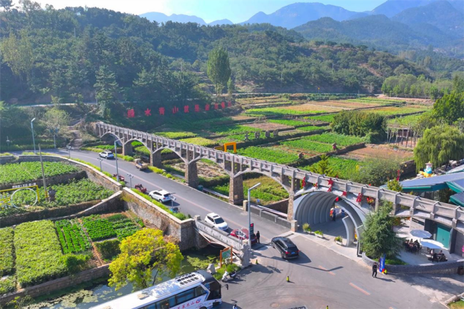 1277�Ǽʵ���(�й���)�ٷ���Ϸ��ַ